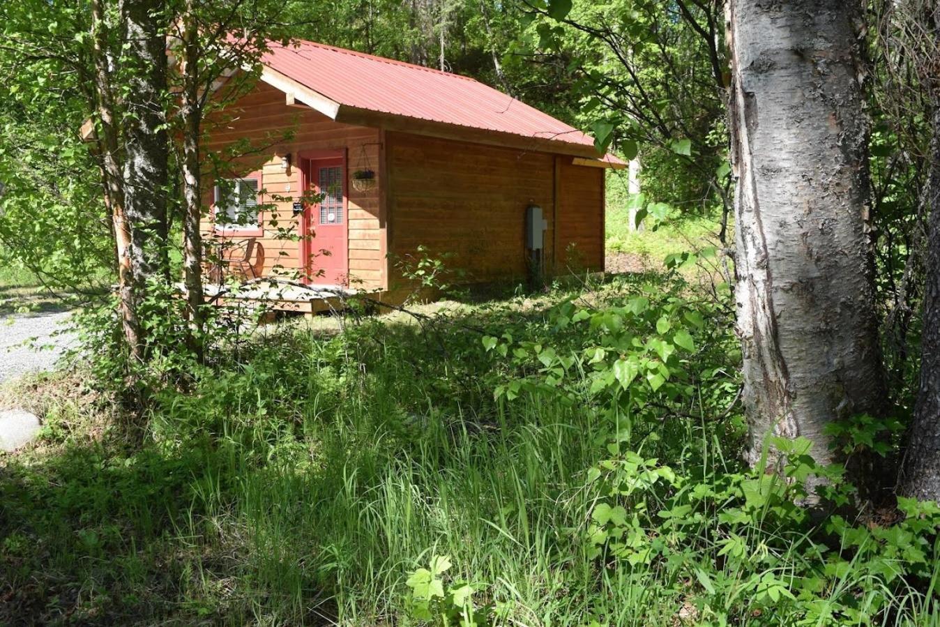 Birch Cabin Talkeetna Buitenkant foto