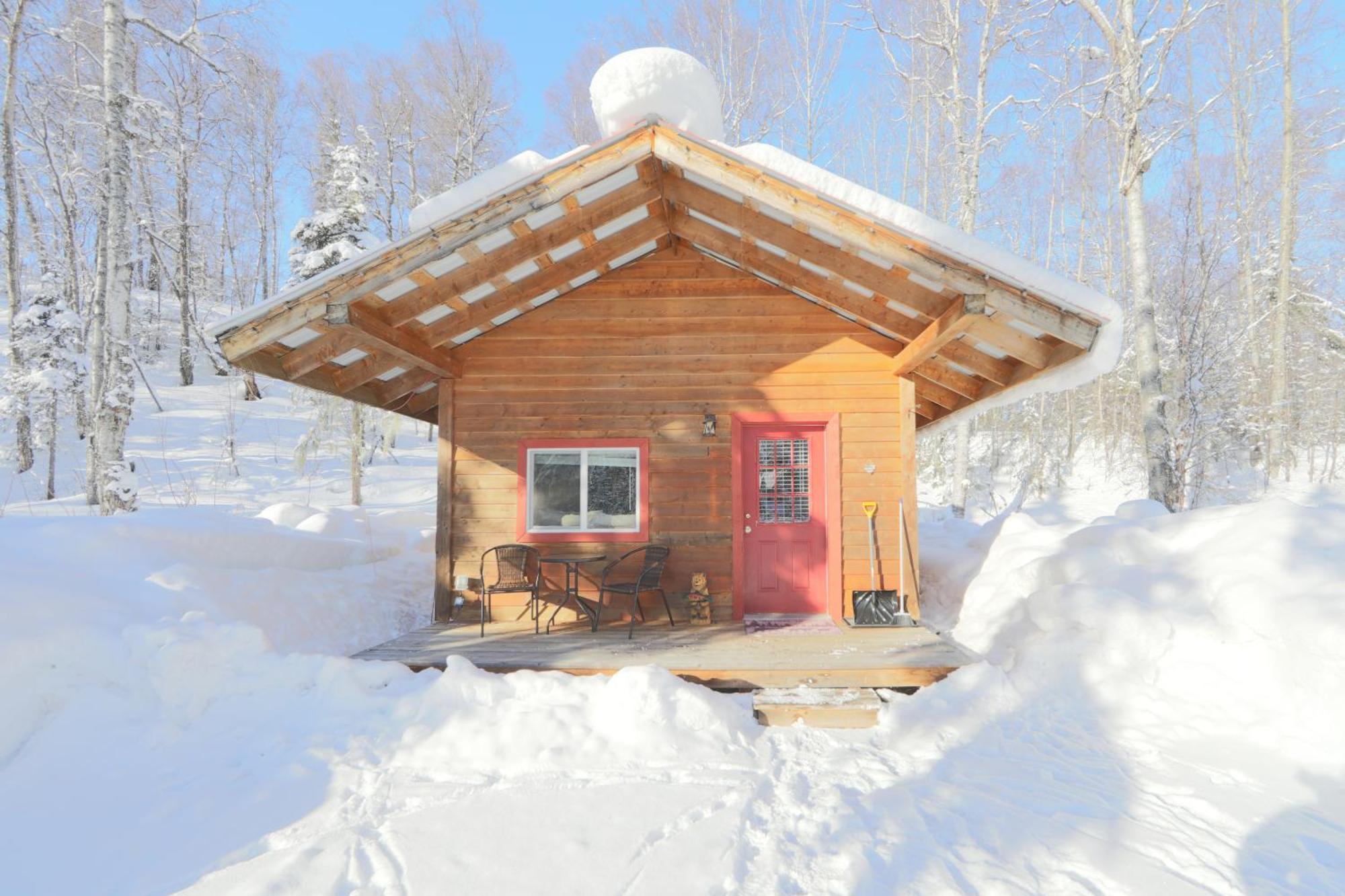 Birch Cabin Talkeetna Buitenkant foto